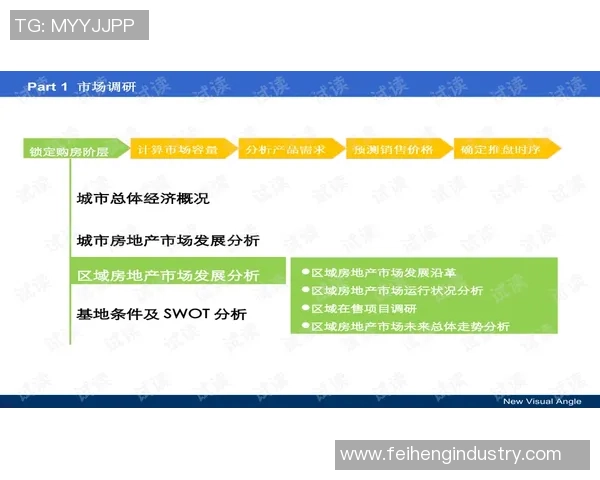 从零基础到飞盘高手：全面解析比赛技巧与实战经验分享