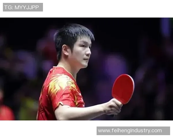 南京网球队防反战术创新探索与实践的深度剖析与启示