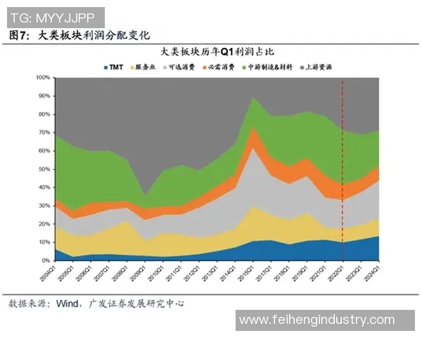 南京飞盘队的成功运营模式与发展策略深度解析